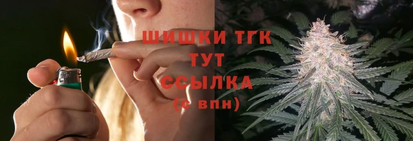 тгк Алзамай