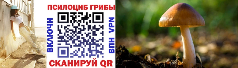 Галлюциногенные грибы GOLDEN TEACHER  дарнет шоп  Яхрома 